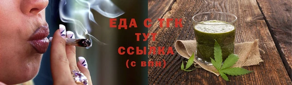 тгк Абаза