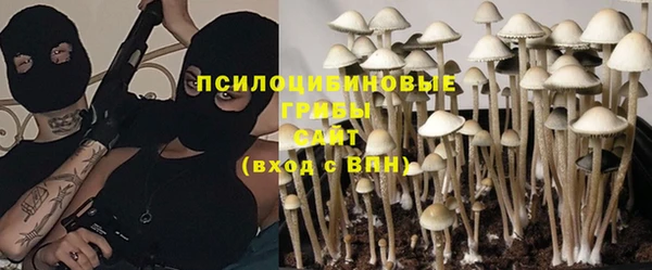 тгк Абаза