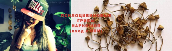2c-b Абинск